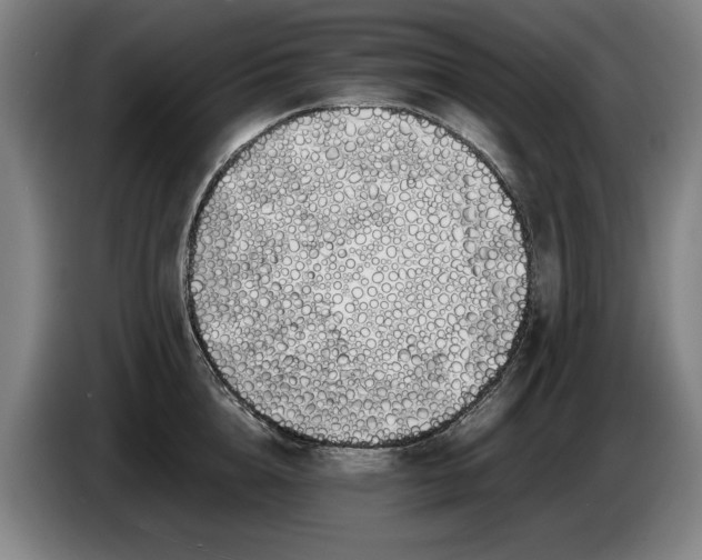 X0000086330856200704202040