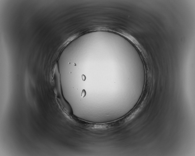 X0000086330857200704202040