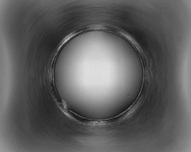 X0000086330858200704202040