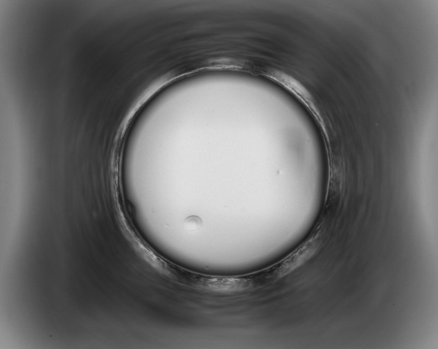 X0000086330859200704202040