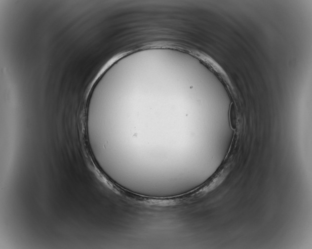 X0000086330860200704202040