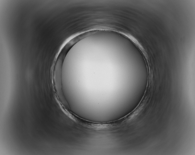 X0000086330862200704202040