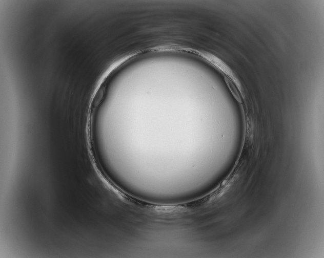 X0000086330863200704202040