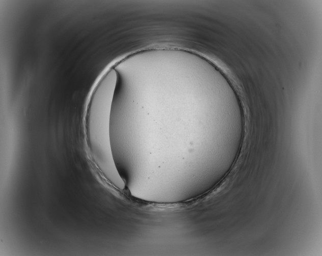 X0000086330864200704202040