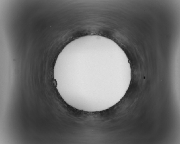 X0000086330865200704202039