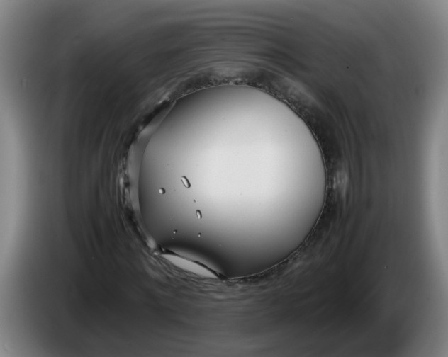 X0000086330868200704202039