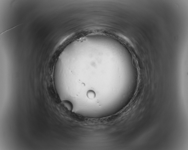 X0000086330871200704202039