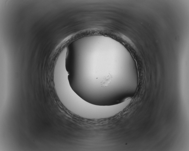 X0000086330872200704202039