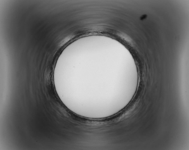 X0000086330873200704202039