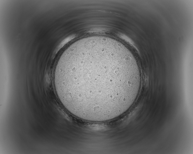 X0000086330874200704202039