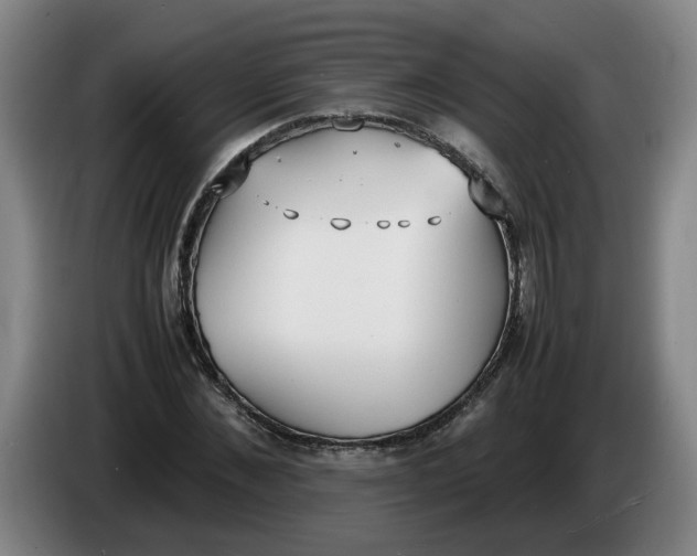 X0000086330876200704202039