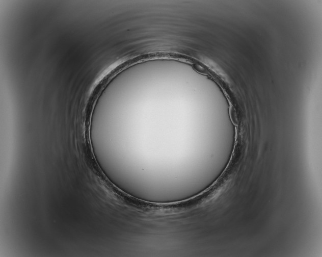 X0000086330877200704202039