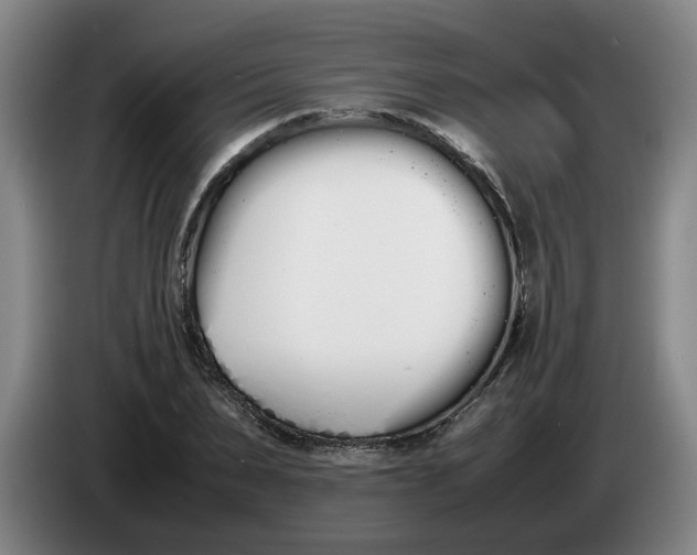 X0000086330879200704202039