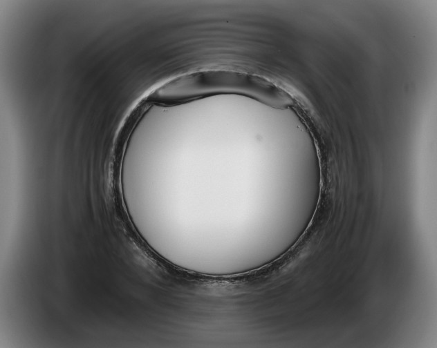 X0000086330880200704202039