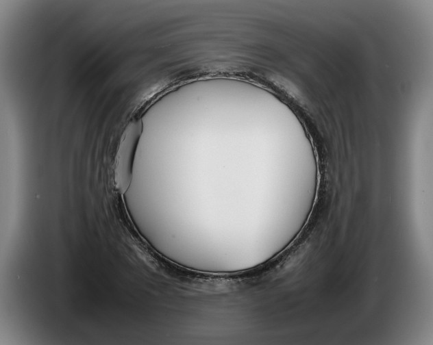 X0000086330881200704202039