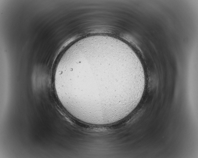 X0000086330882200704202039