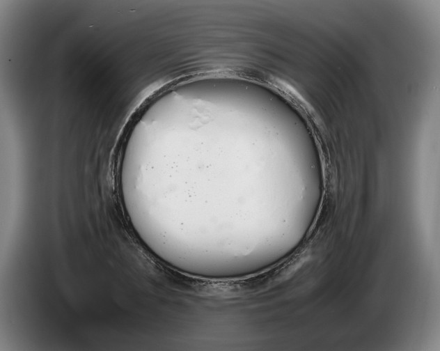 X0000086330883200704202039