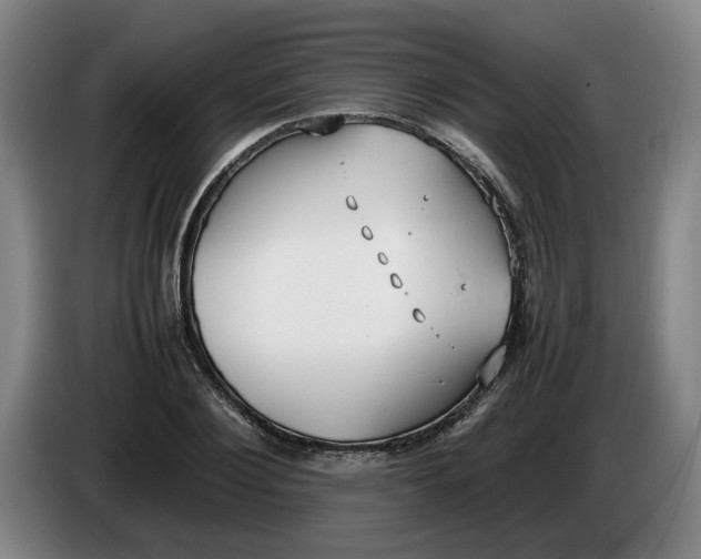 X0000086330884200704202039