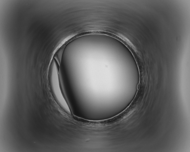 X0000086330885200704202039