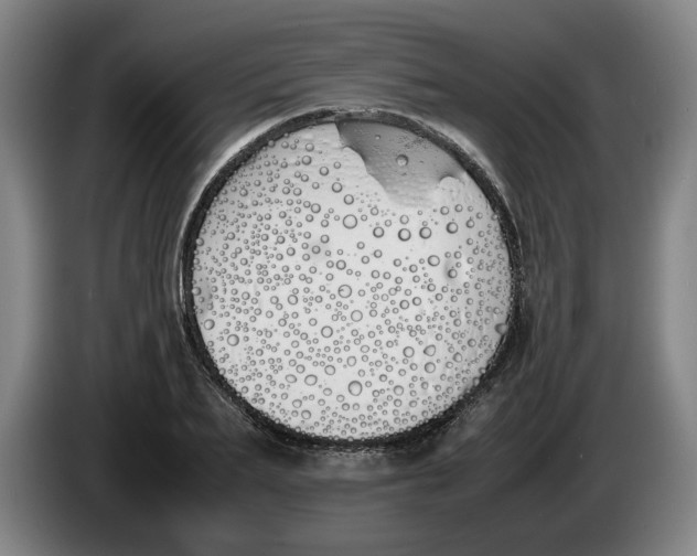 X0000086330887200704202039