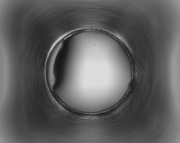 X0000086330888200704202039