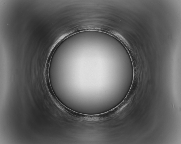 X0000086330893200704202039