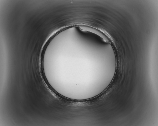 X0000086330894200704202039