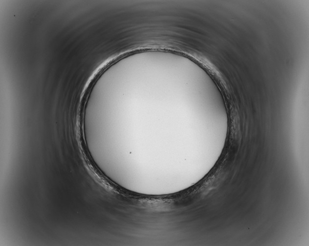 X0000086330896200704202039