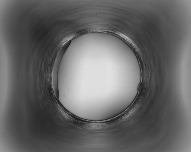 X0000086330897200704202039