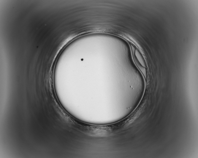 X0000086330899200704202039