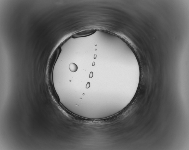 X0000086330902200704202039