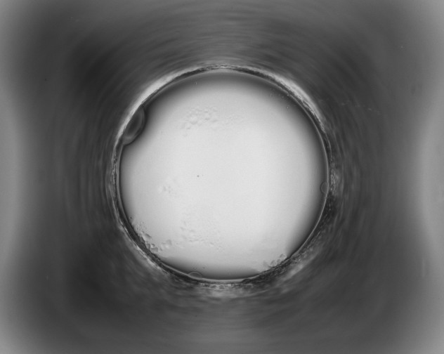 X0000086330903200704202039