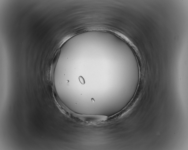 X0000086330905200704202039