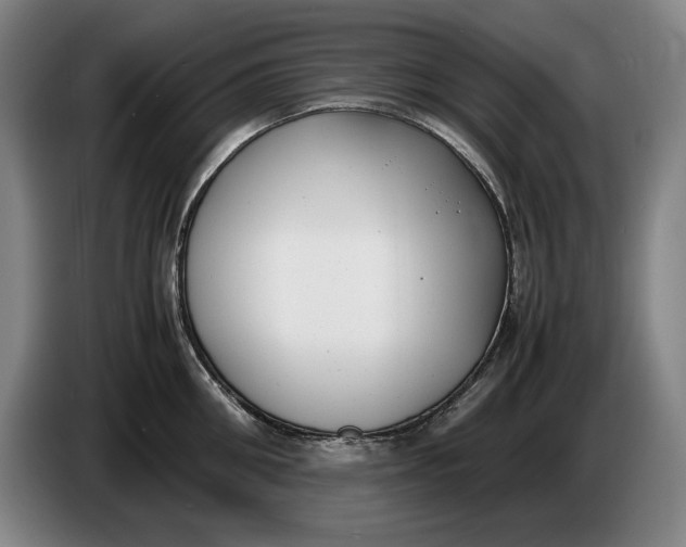 X0000086330906200704202039