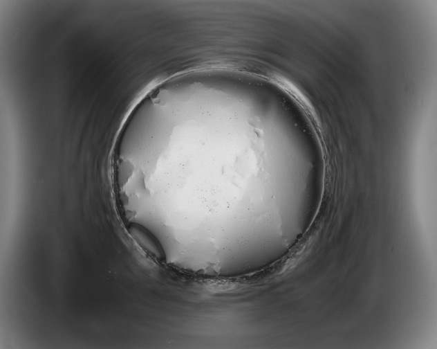 X0000086330907200704202039