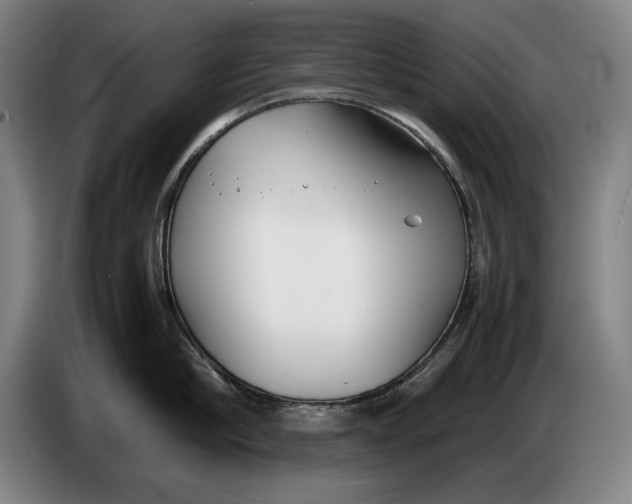 X0000086330910200704202039