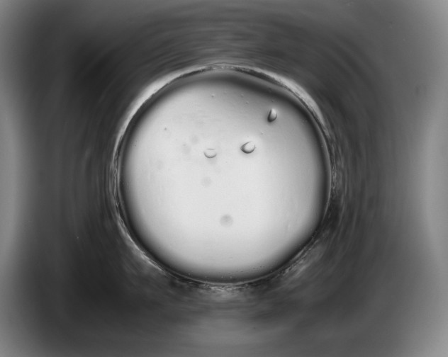 X0000086330911200704202039