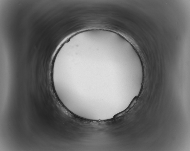 X0000086330912200704202039