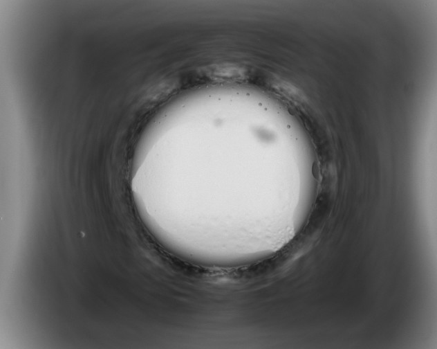 X0000086330913200704202038