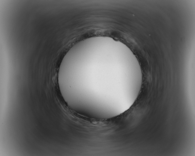 X0000086330914200704202038