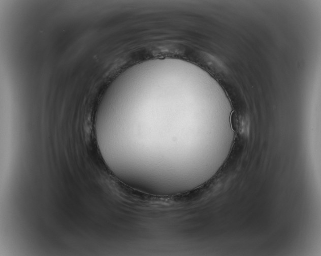 X0000086330915200704202038