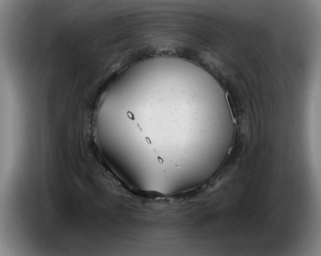 X0000086330916200704202038