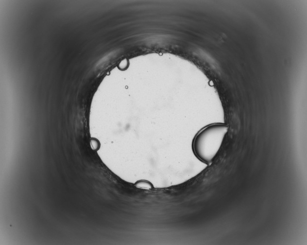 X0000086330918200704202038