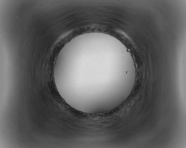 X0000086330919200704202038