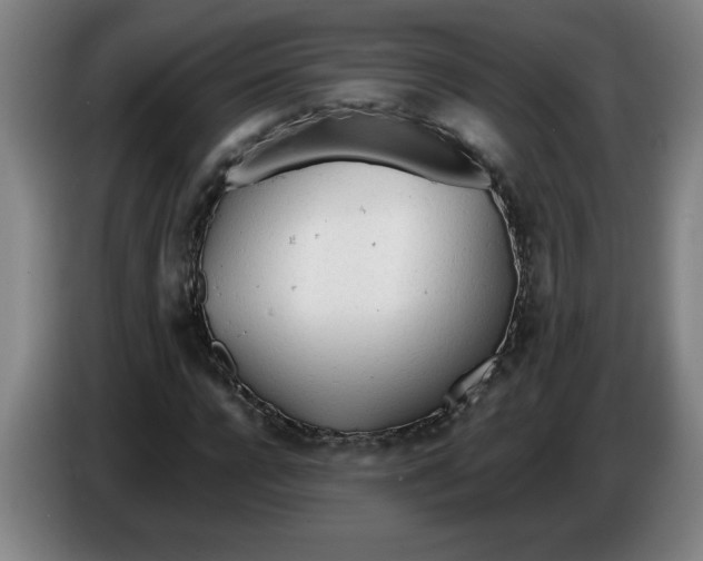 X0000086330920200704202038