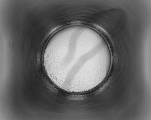 X0000086330921200704202038