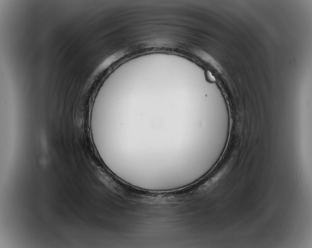 X0000086330922200704202038