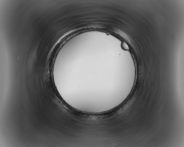 X0000086330923200704202038