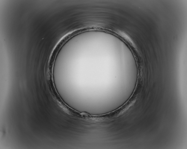 X0000086330924200704202038