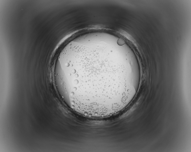 X0000086330925200704202038